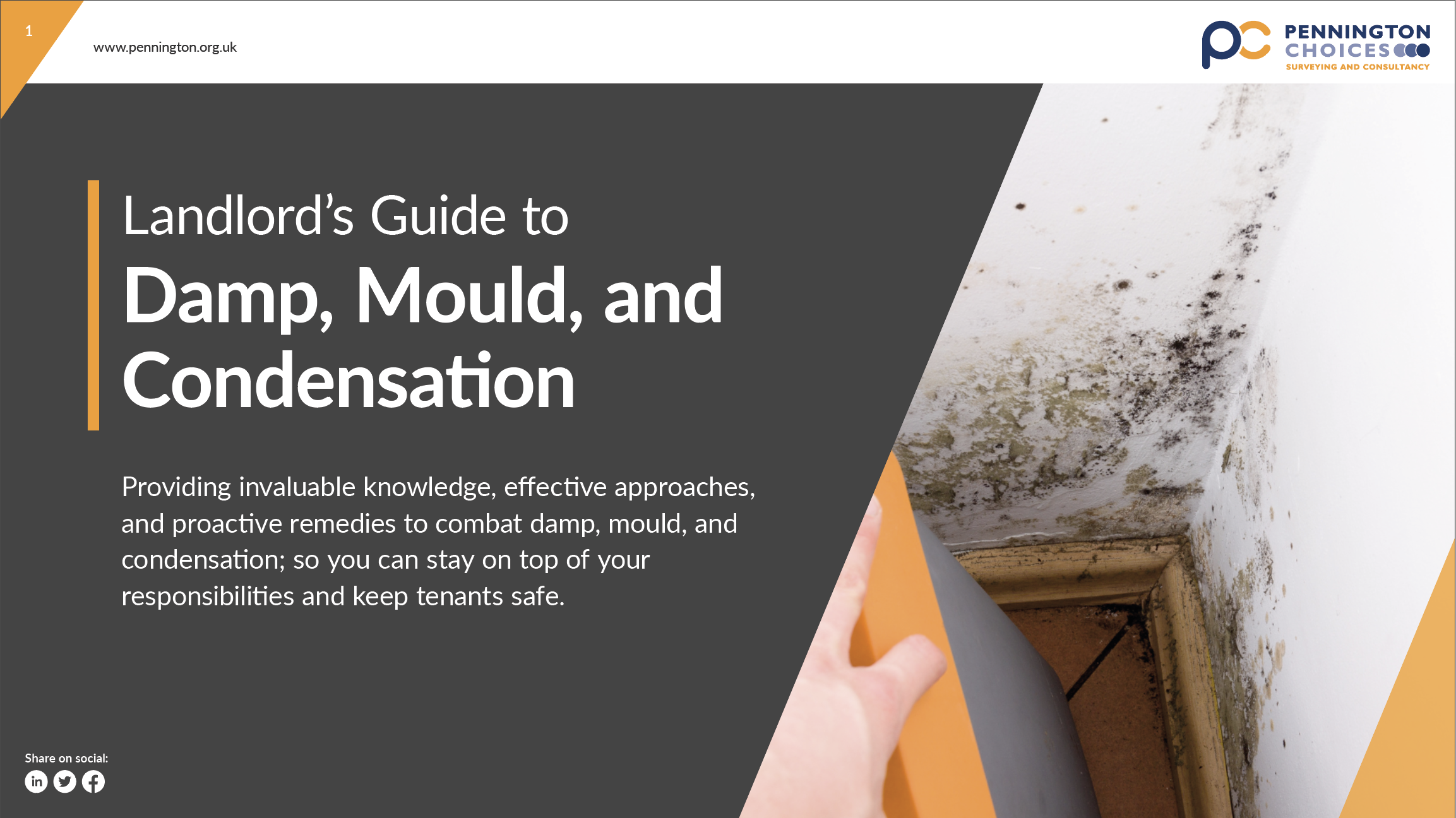 Landlord’s Guide To Damp, Mould And Condensation | Pennington Choices